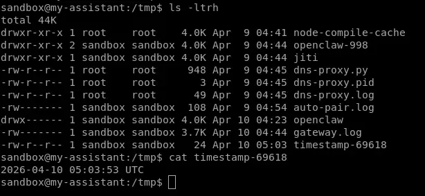 the timestamp-69618 is indeed there and has the same content