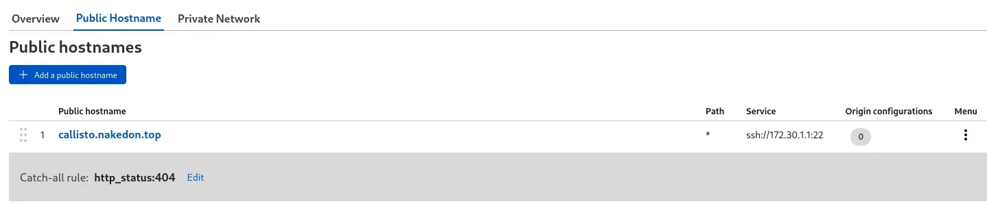Our subdomain for SSH access is created