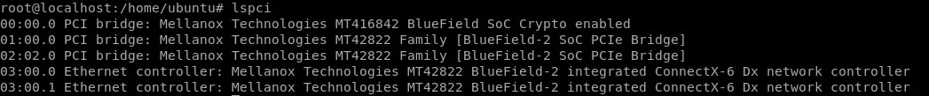 lspci output on the Bluefield